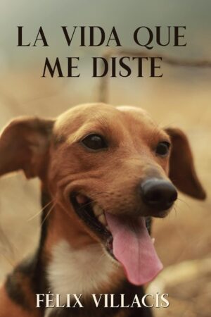 La vida que me diste de Félix Villacis