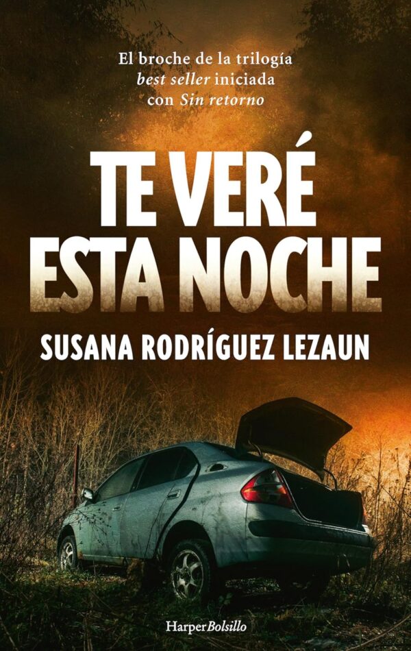 Te veré esta noche de Susana Rodríguez Lezaun