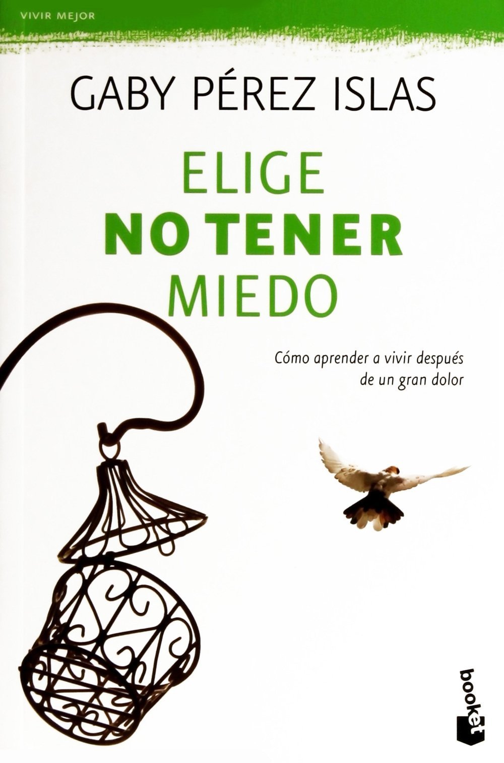 Elige no tener miedo: Cómo aprender a vivir después de un gran dolor de María Gabriela Pérez Islas 1 Elige no tener miedo: Cómo aprender a vivir después de un gran dolor de María Gabriela Pérez Islas