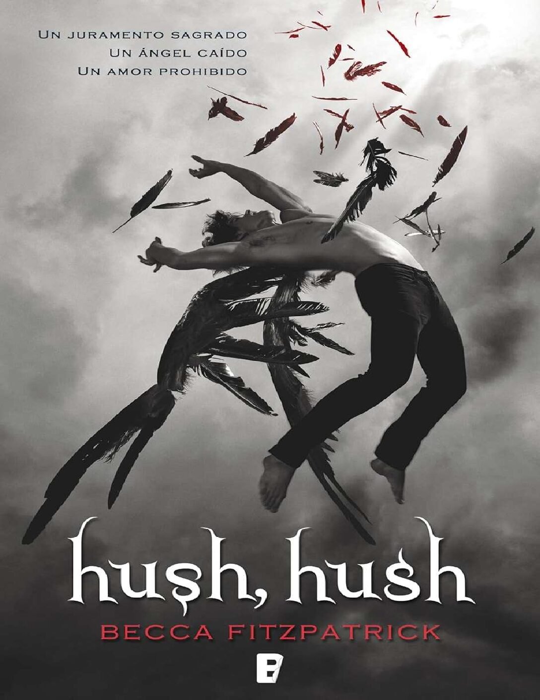 Hush, Hush de Becca Fitzpatrick