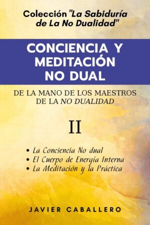 Conciencia y Meditación No Dual de Javier Caballero Blasco