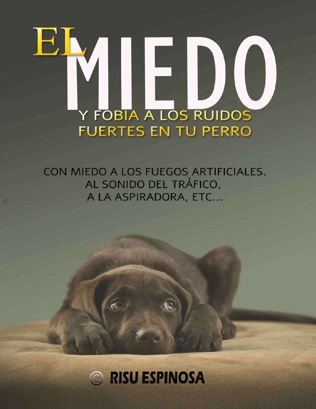 El miedo y fobia a los ruidos fuertes de tu perro de Risu Espinosa
