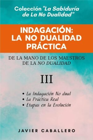 Indagación. La No Dualidad Práctica de Javier Caballero