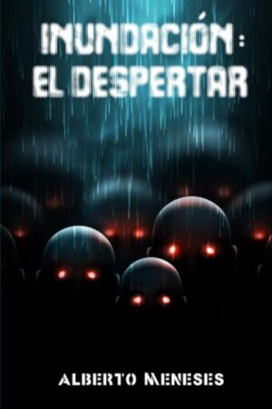 Inundación de Alberto Meneses