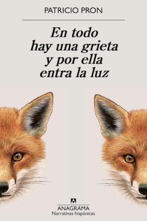 En todo hay una grieta y por ella entra luz de Patricio Pron