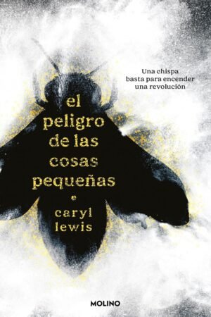 El peligro de las cosas pequeña de Caryl Lewis