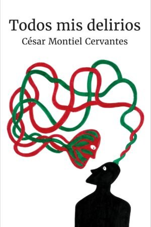 Todos mis delirios de César Montiel Cervantes
