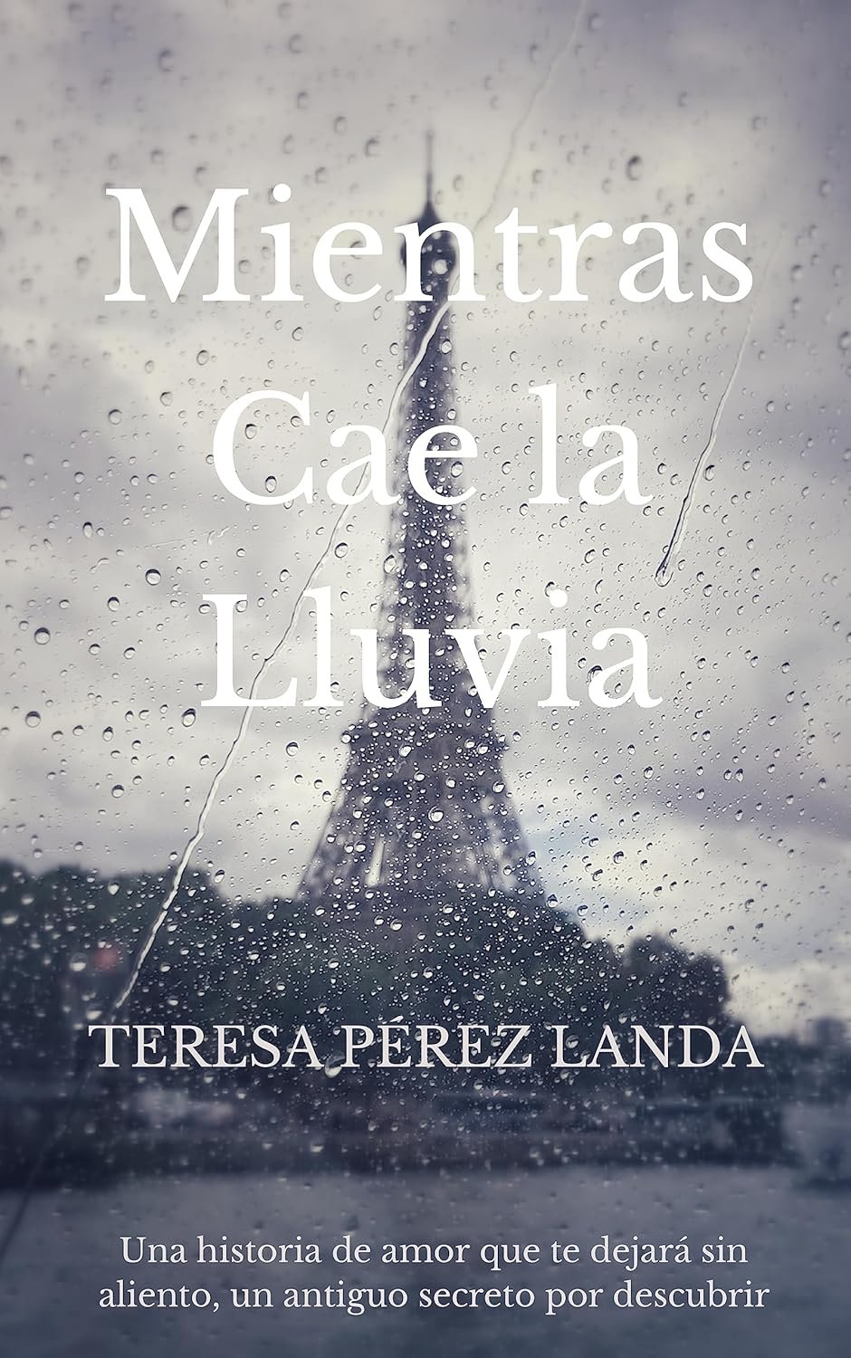 Mientras Cae la Lluvia de Teresa Pérez Landa 1 Mientras Cae la Lluvia de Teresa Pérez Landa