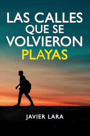 Las calles que se volvieron playas de José Javier Lara Hidalgo