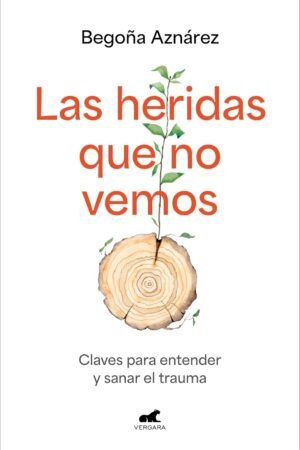 Las heridas que no vemos de Begoña Aznárez