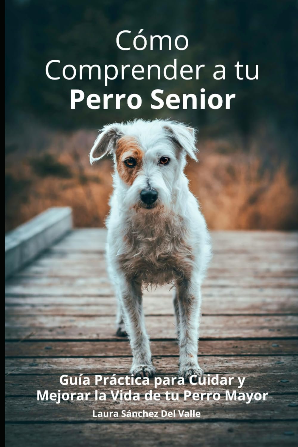 Cómo Comprender a tu Perro Senior de Laura Sánchez Del Valle 1 Cómo Comprender a tu Perro Senior de Laura Sánchez Del Valle