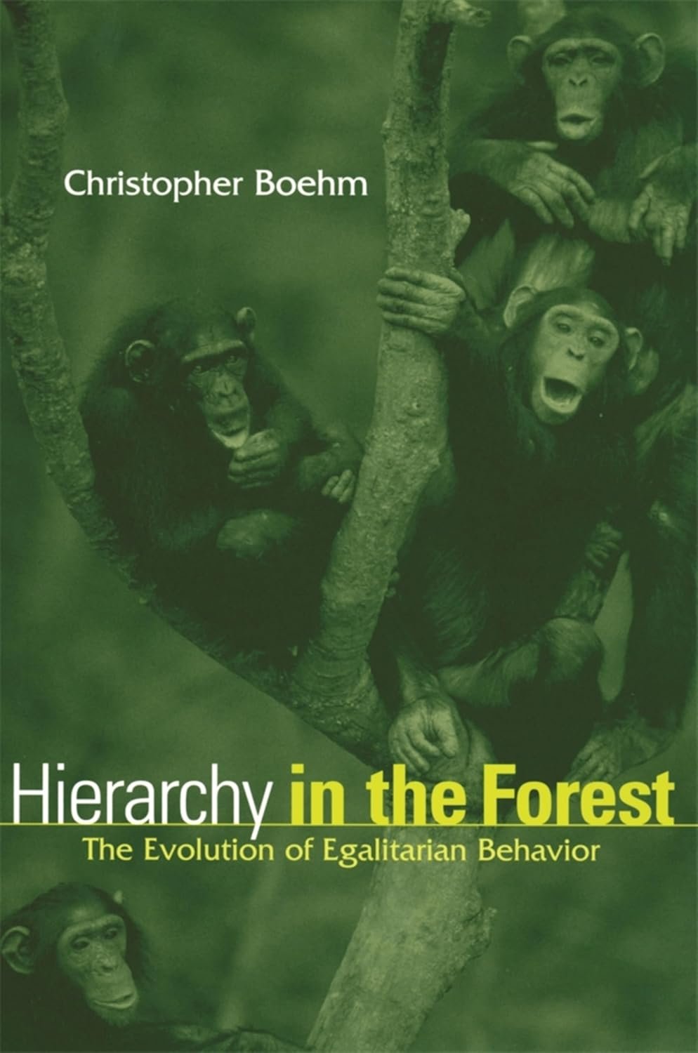 Hierarchy in the Forest by Christopher Boehm